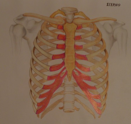 PASTELLI SU CARTONCINO